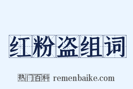 红粉盗组词是什么意思的图片